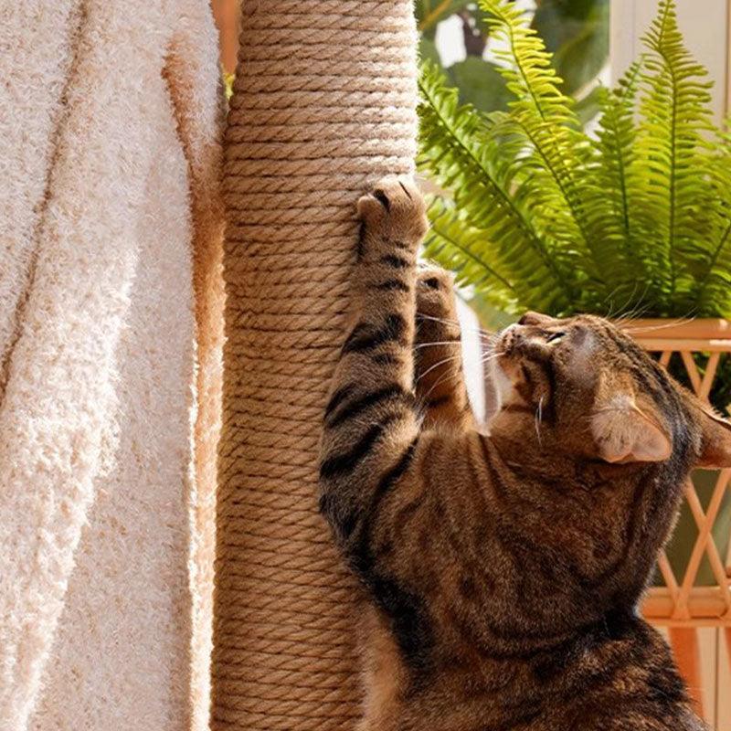 Deluxe stort trädhus för kattklätterställning