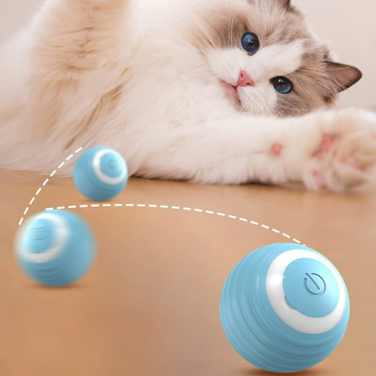 JumpPaws-boll GRATIS