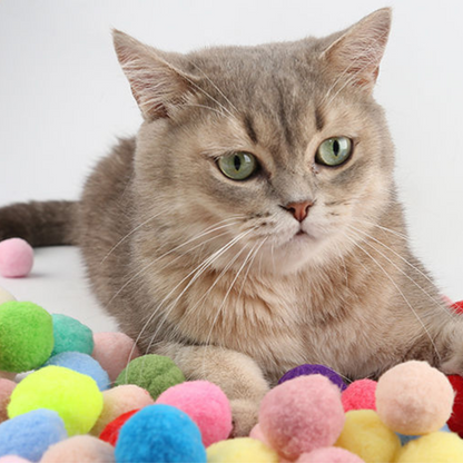 PawPop-bollkastare + 20 omladdningar