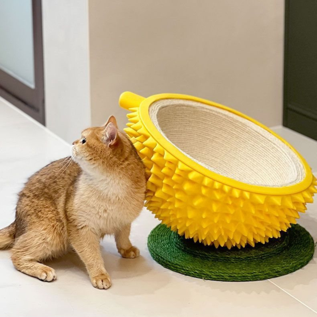YellowFruit klösbädd