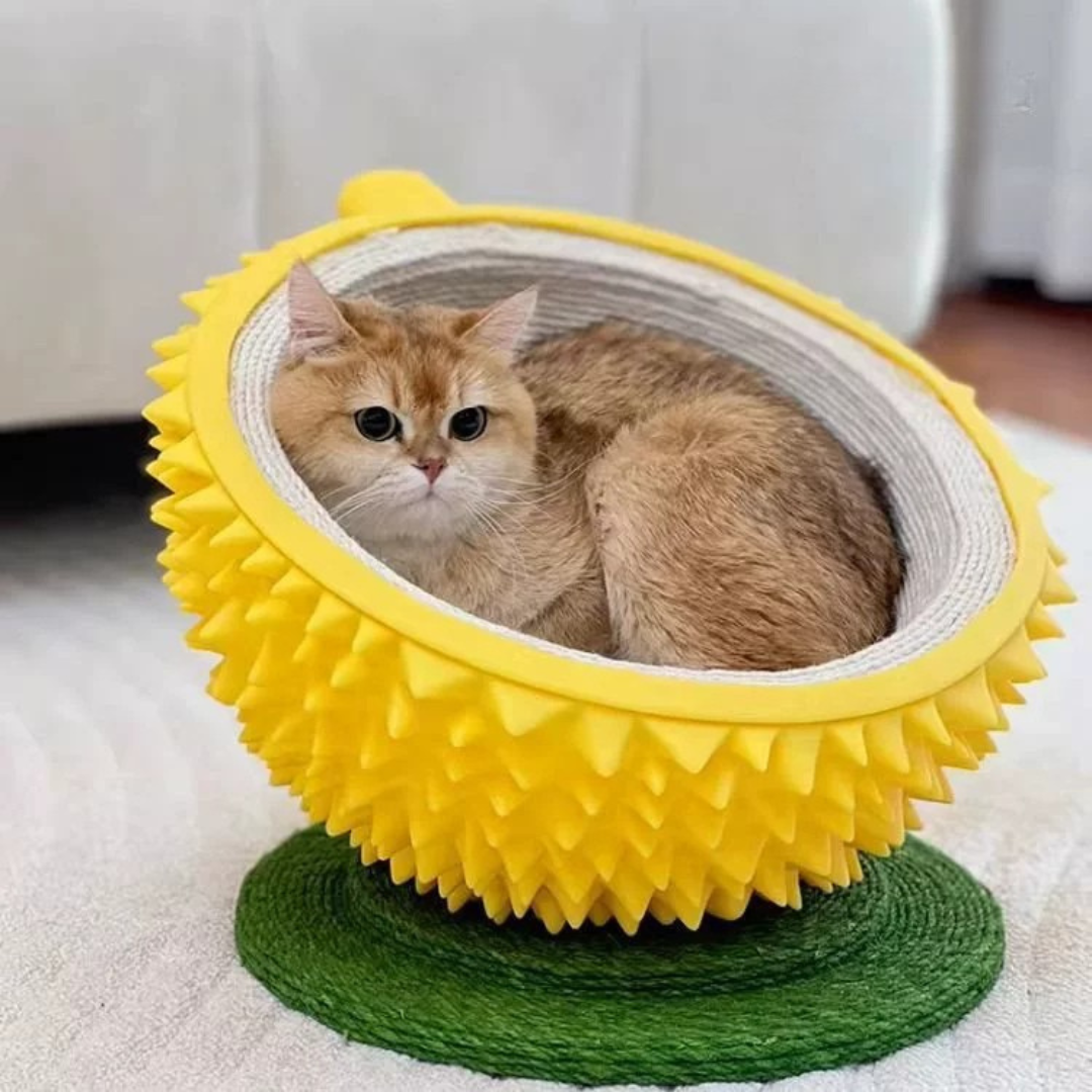 YellowFruit klösbädd
