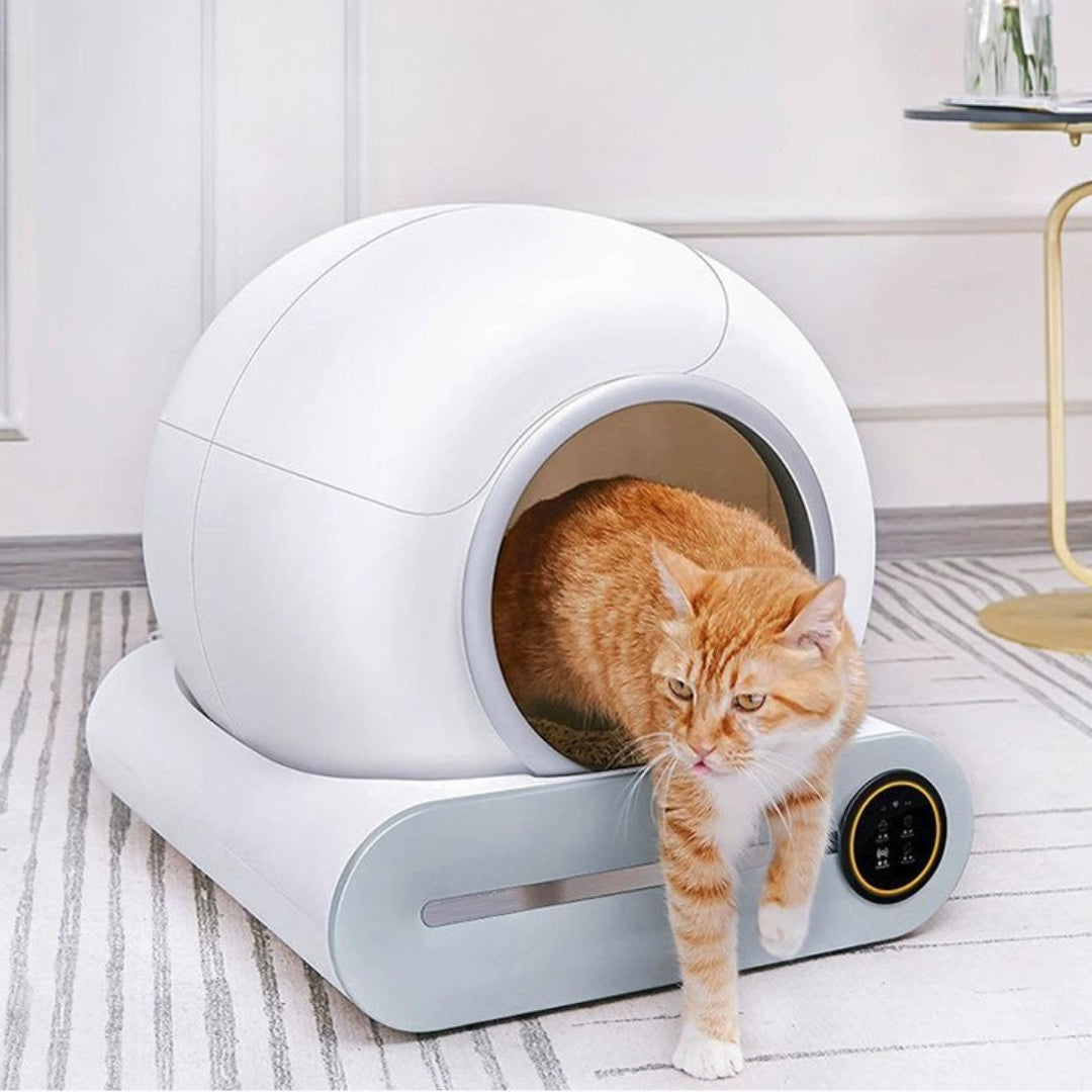 CatGenie Box 2.0 